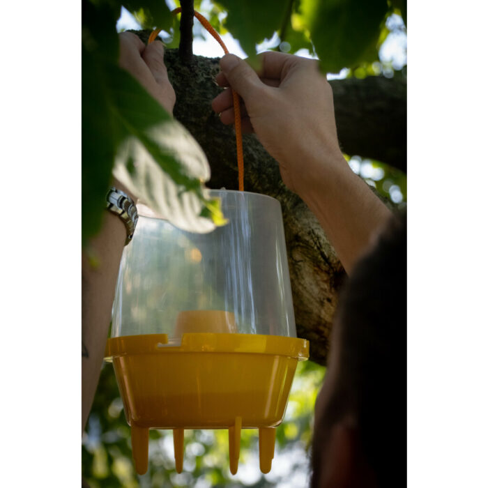 Knock Pest wespenval