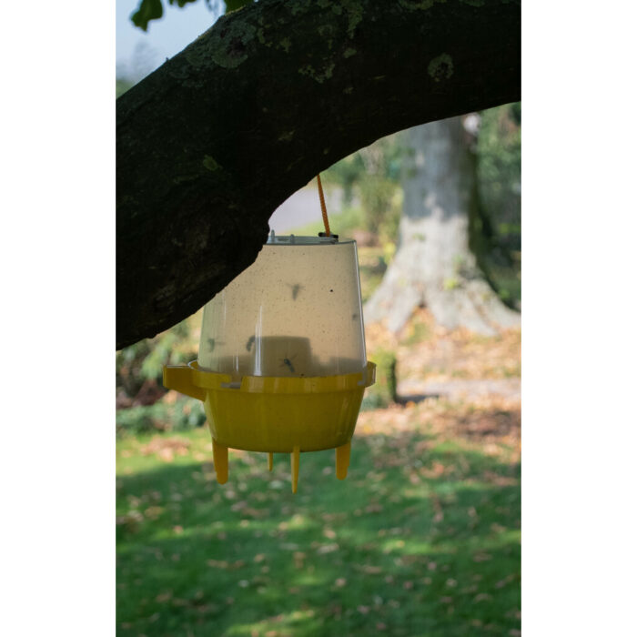 Knock Pest wespenval