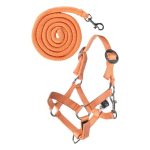 HKM Hobby Horse verstelbare halsterset oranje