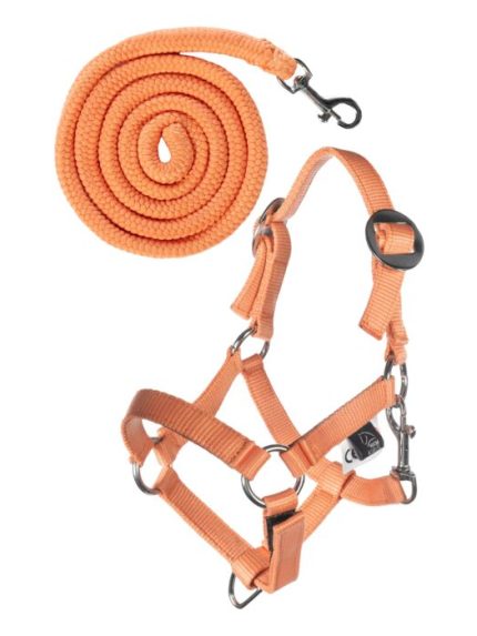 HKM Hobby Horse verstelbare halsterset oranje