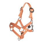HKM Hobby Horse verstelbare halsterset oranje
