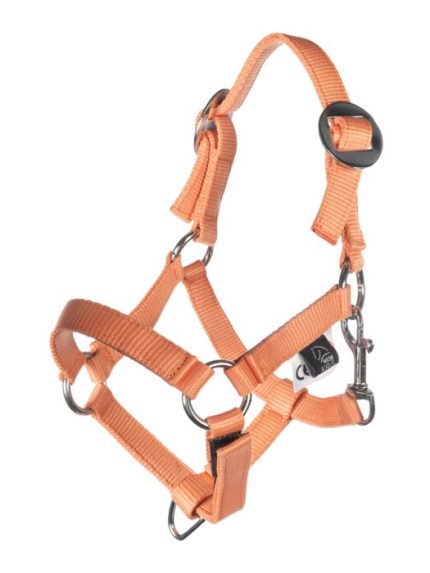 HKM Hobby Horse verstelbare halsterset oranje