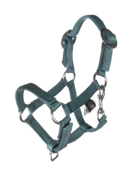 HKM Hobby Horse verstelbare halsterset turquoise