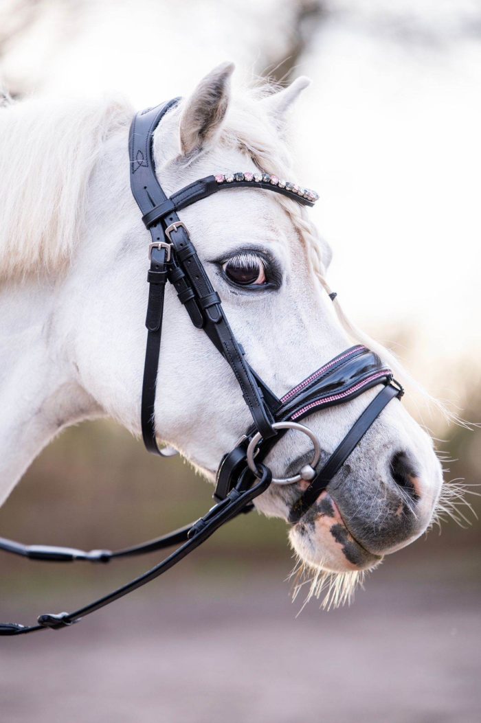 HB Showtime Special A pony hoofdstel