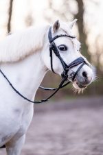 HB Showtime Special A pony hoofdstel