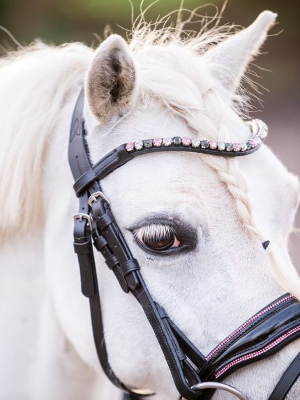 HB Showtime Special A pony hoofdstel