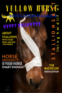 Hengsten editie Yellow Horse Revolution Magazine