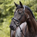 Kavalkade hoofdstel Clinchesse met afneembare sperriem