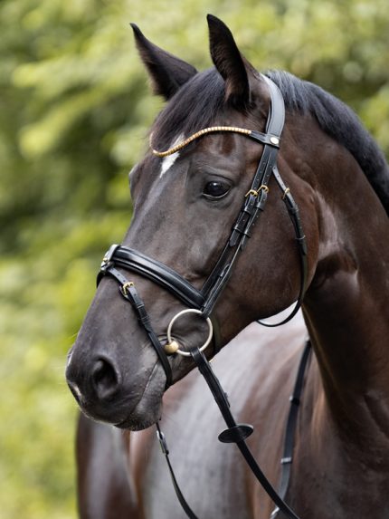 Kavalkade hoofdstel Clinchesse met afneembare sperriem