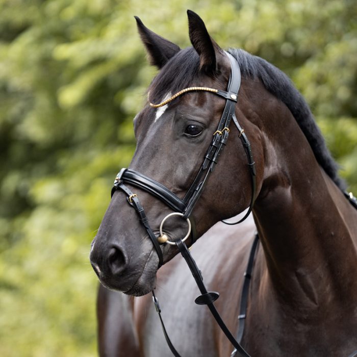 Kavalkade hoofdstel Clinchesse met afneembare sperriem