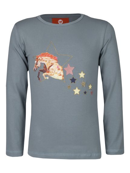 RH longsleeve Fame grijs