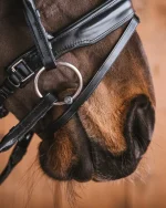 Fager Mary Titanium Bradoon watertrens